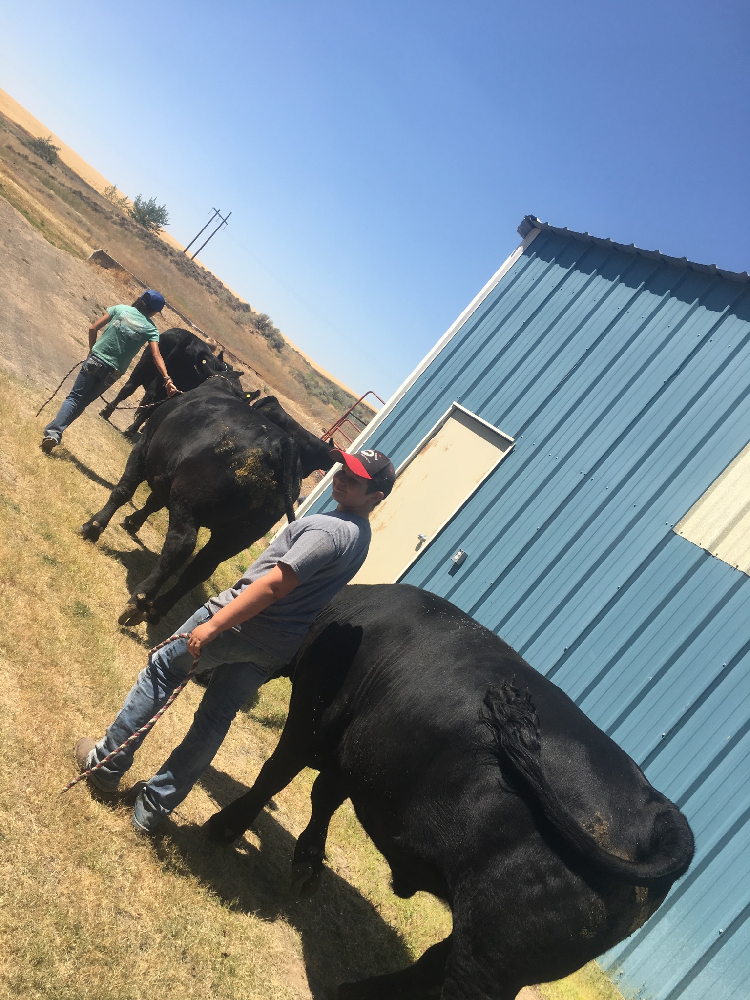 Tk Rice Ranch 100622.jpeg | KT Ranch