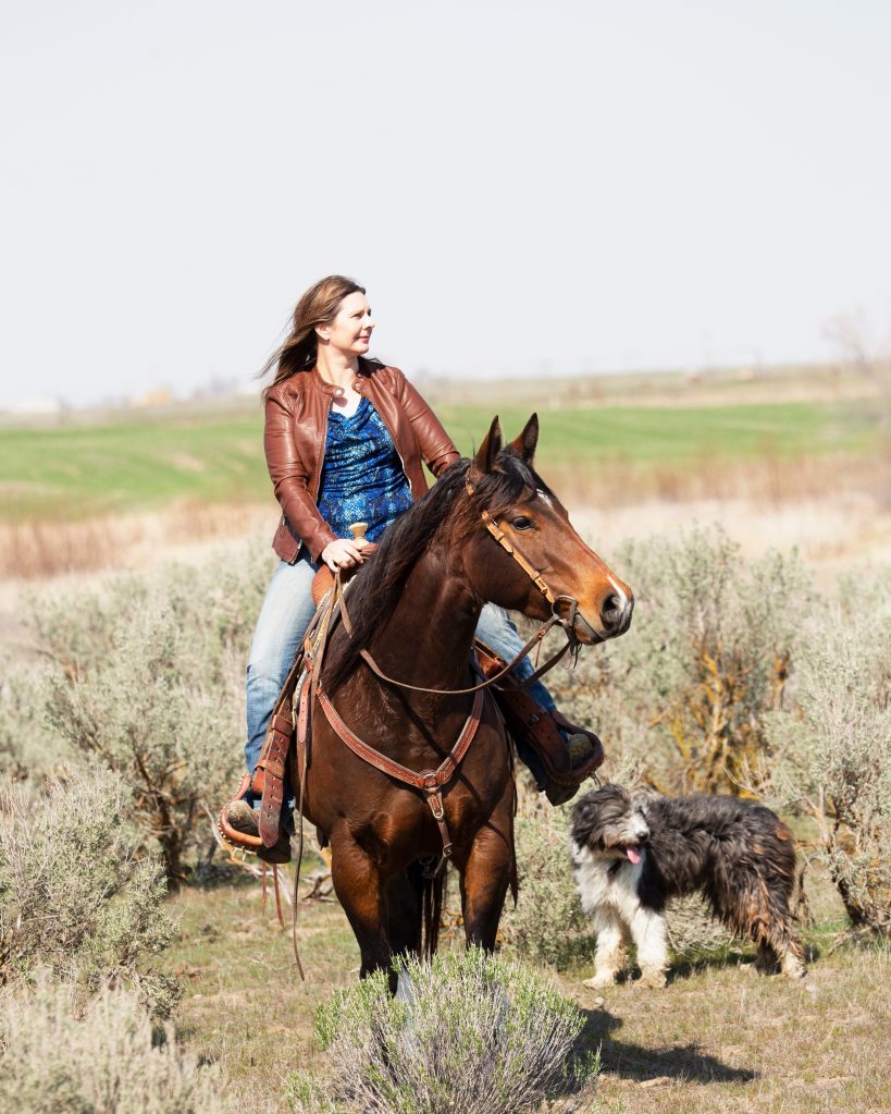 Ranch Horses | KT Ranch