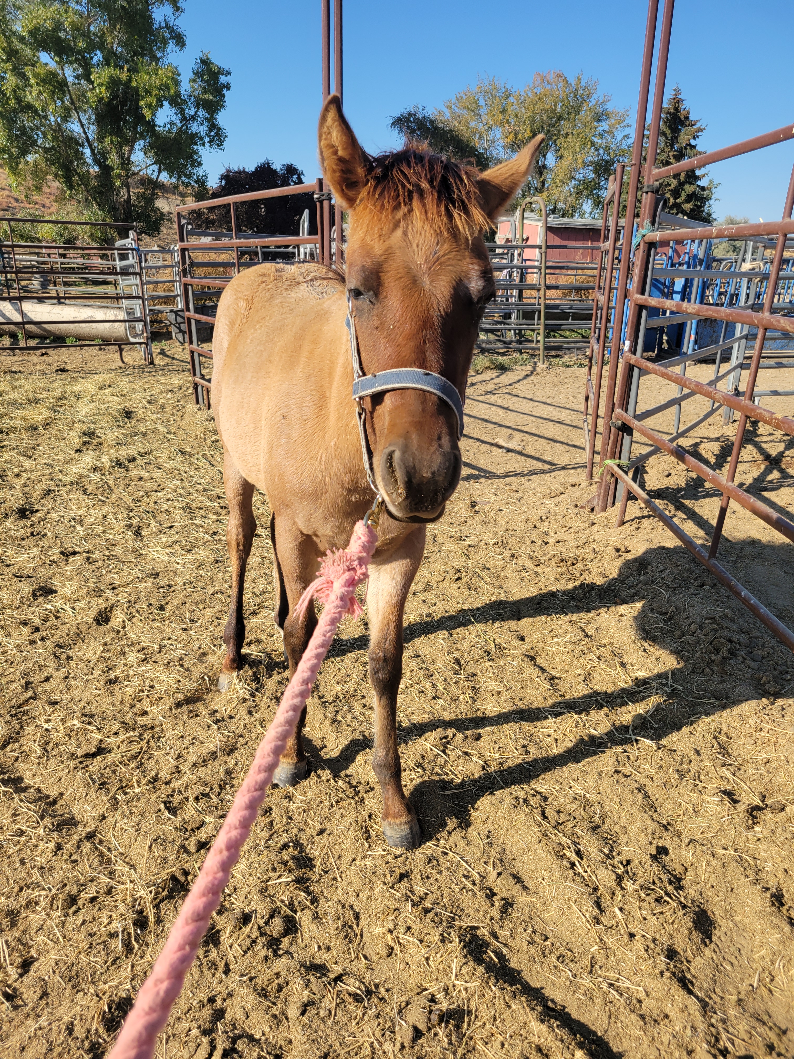 On to the next group | KT Ranch