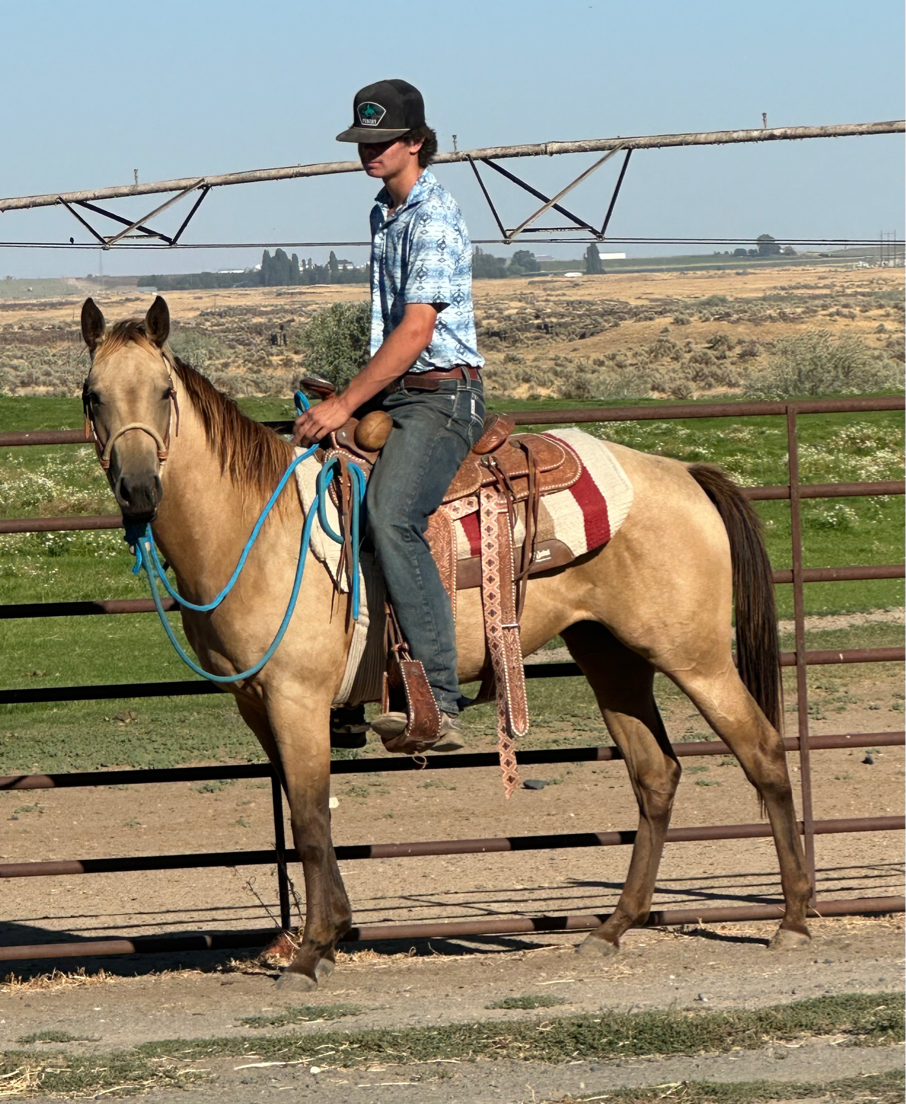 Sale Page | KT Ranch
