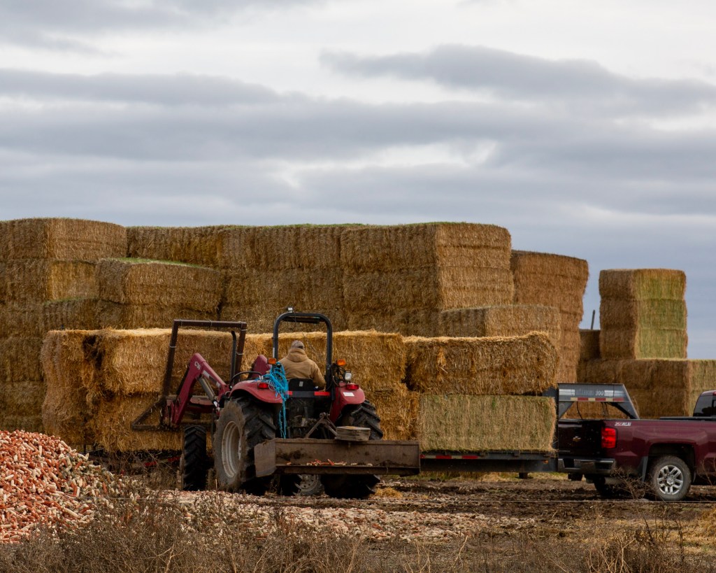 On the 8th Day of Ranching Feeding Hay | KT Ranch