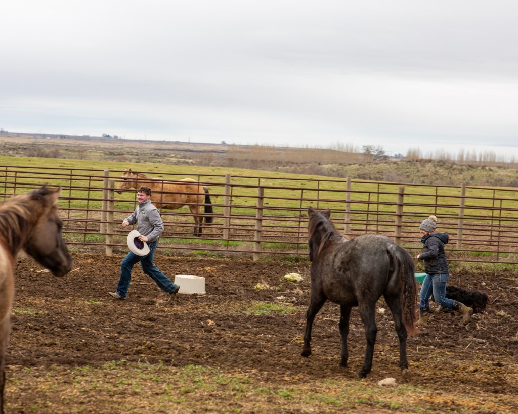 On the 3rd Day of Ranching Getting Christmas Pictures with a Donkey ...